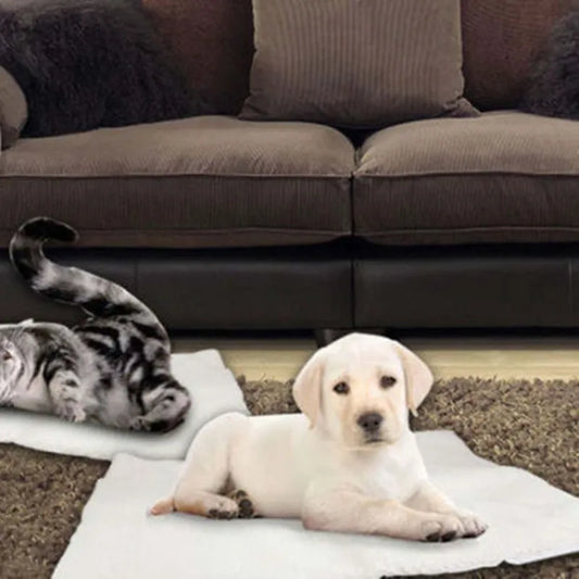 Matelas Auto-chauffant pour Animaux Domestiques - Tapis Chauffant Confortable pour Chiens et Chats