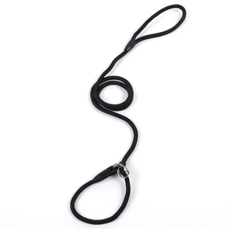 Laisse De Chien En Corde Résistante Avec Mousqueton Pour Une Promenade En Toute Sécurité