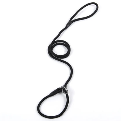 Laisse De Chien En Corde Résistante Avec Mousqueton Pour Une Promenade En Toute Sécurité