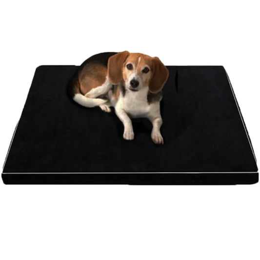 Lit Pour Chien Avec Dessous Antidérapant Pour Un Sommeil En Toute Sécurité