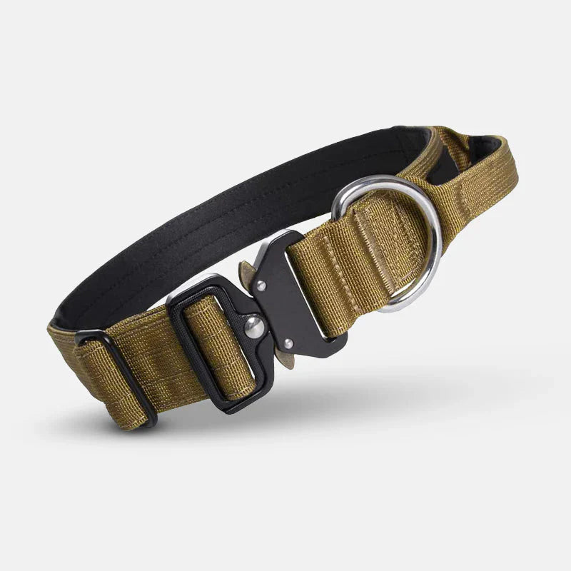 Collier De Chien Pratique Avec Poignée Pour Un Meilleur Contrôle
