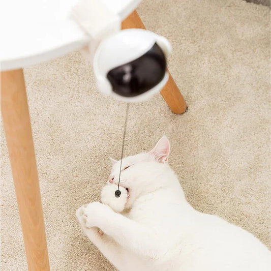 Jouet Automatique pour Chats
