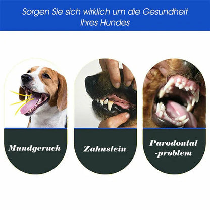 Brosse à Dents pour Chiens à 3 Têtes - Nettoyage Efficace pour des Dents Saines