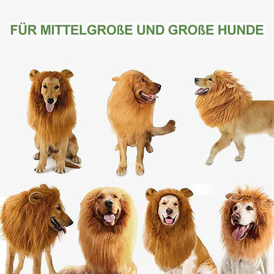 Costume de Chien à Crinière de Lion