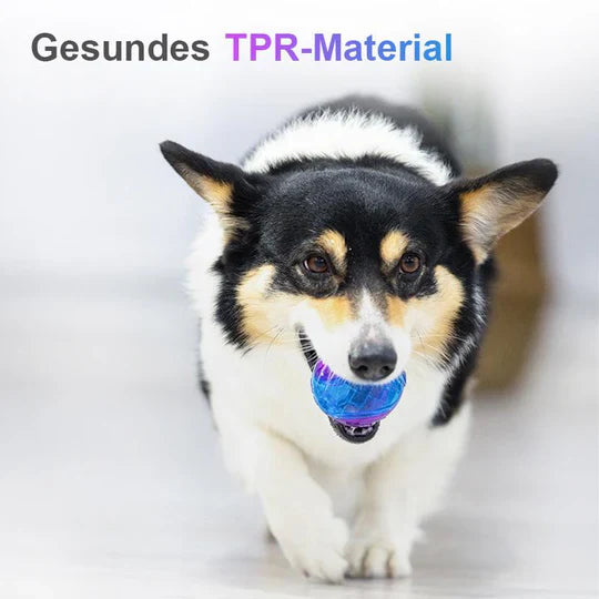 Balle à Mâcher de Longue Durée pour Chiens