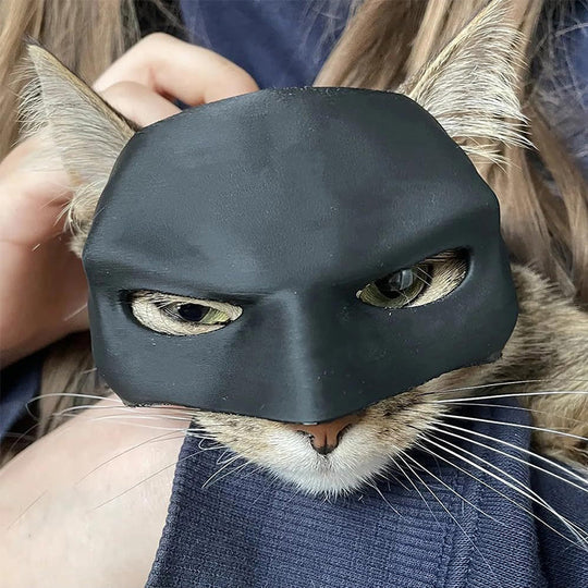 Masque de Chat Héroïque pour des Apparitions Uniques