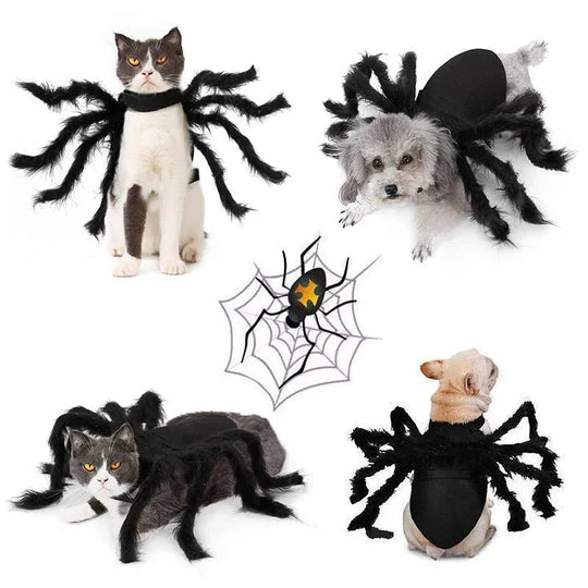 Costume D' Araignée Effrayant pour Animaux Domestiques