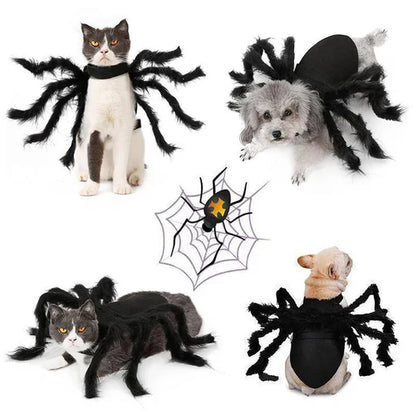 Costume D' Araignée Effrayant pour Animaux Domestiques
