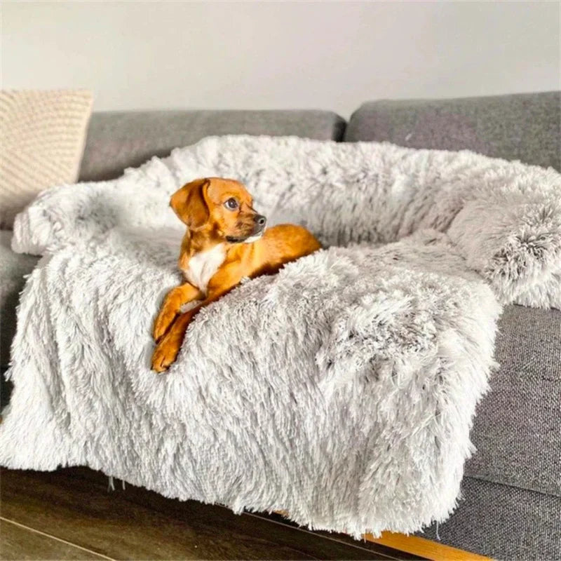 Sofa Luxueux Pour Chien
