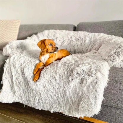 Sofa Luxueux Pour Chien