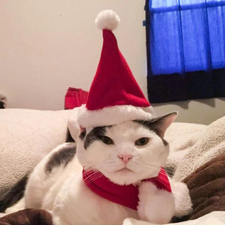 Casquette de Noël avec Écharpe pour Animaux Domestiques