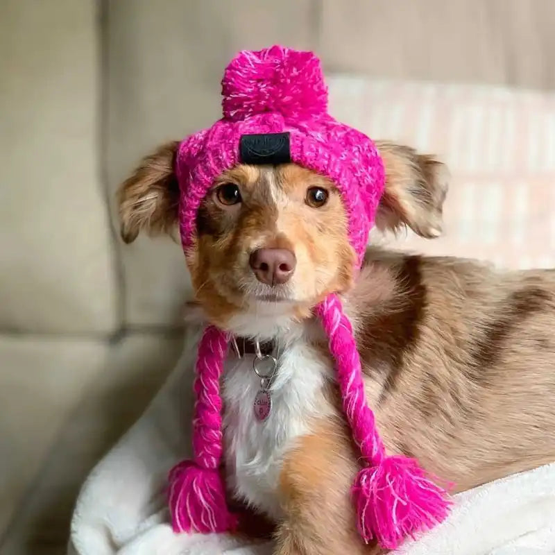 Casquette En Tricot Pour Animaux Domestiques Avec Pompon Et Pompons Torsadés En Rose