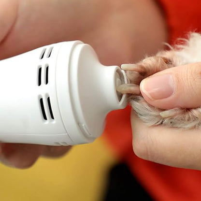Ponceuse À Griffes Silencieuse Pour Animaux