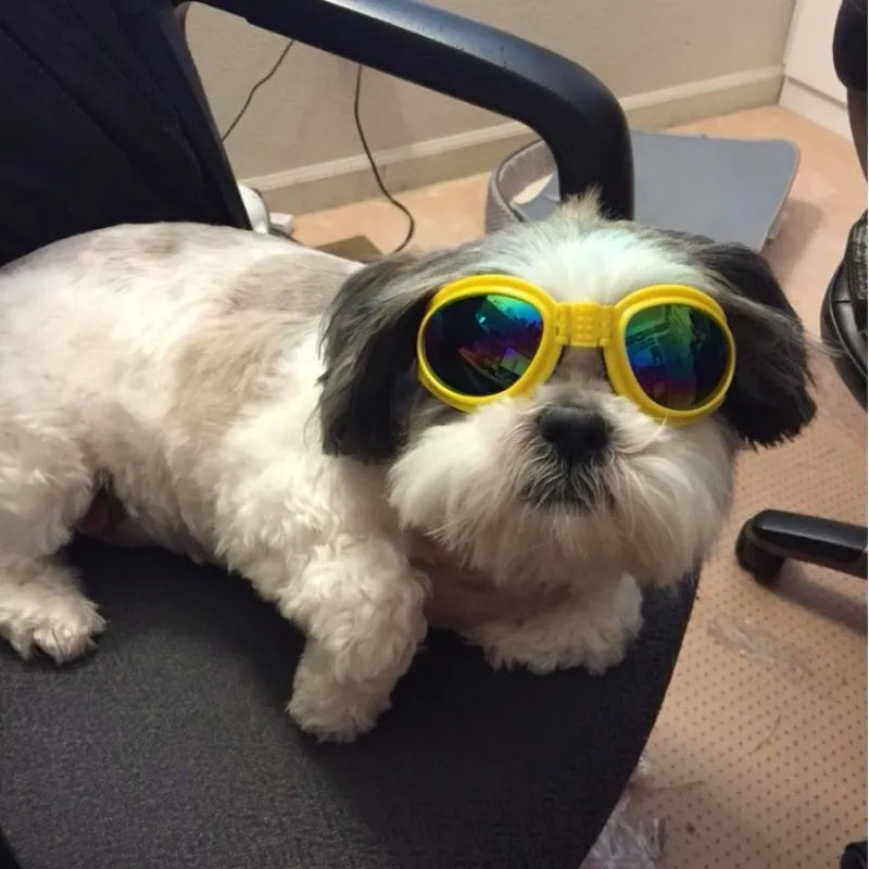 Lunettes De Protection Anti-uv Pour Chiens En 7 Couleurs