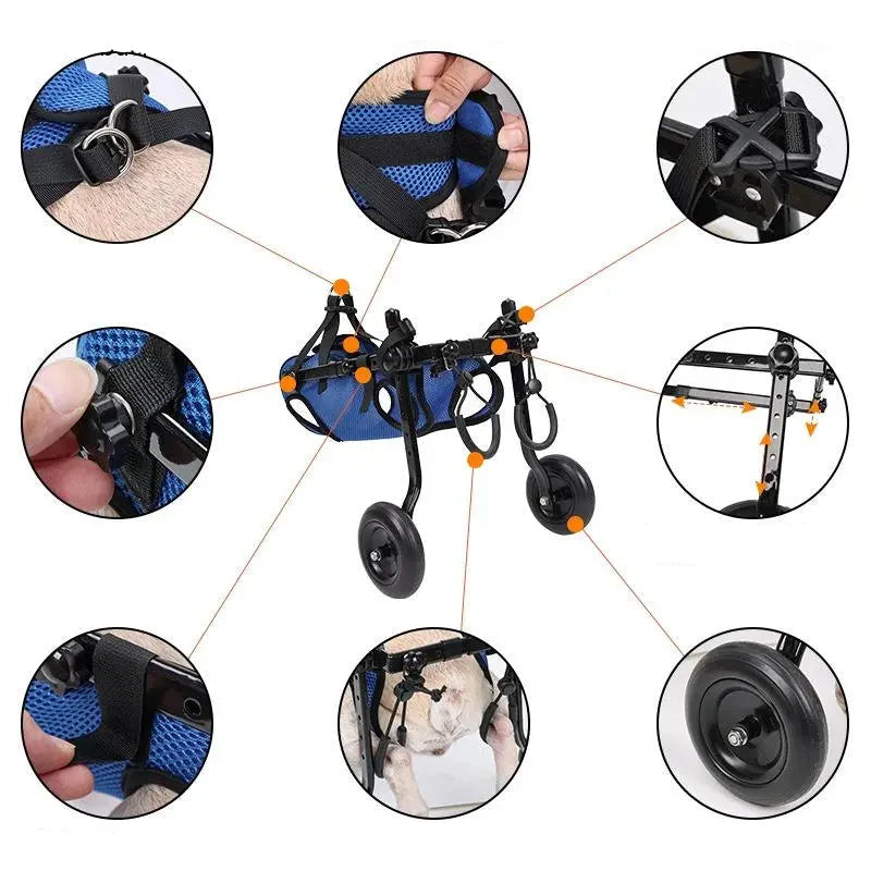 Aide à la Marche pour Chats et Chiens - Fauteuil Roulant pour la Mobilité et L' Indépendance