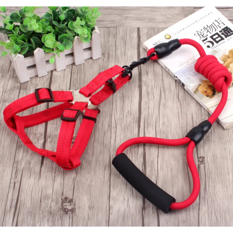 Harnais Pour Chien Réglable Avec Laisse En 5 Couleurs