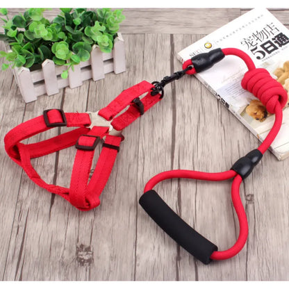 Harnais Pour Chien Réglable Avec Laisse En 5 Couleurs