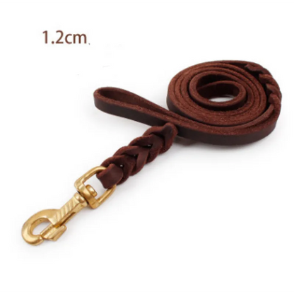 Laisse En Cuir Pour Chien Avec Mousqueton Doré - Accessoire Pour Chien Robuste Et Élégant