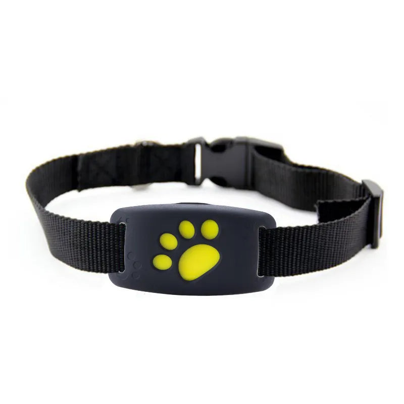Collier pour Chien avec Fonction Lumineuse Led - Visible dans L' Obscurité Solide et Confortable