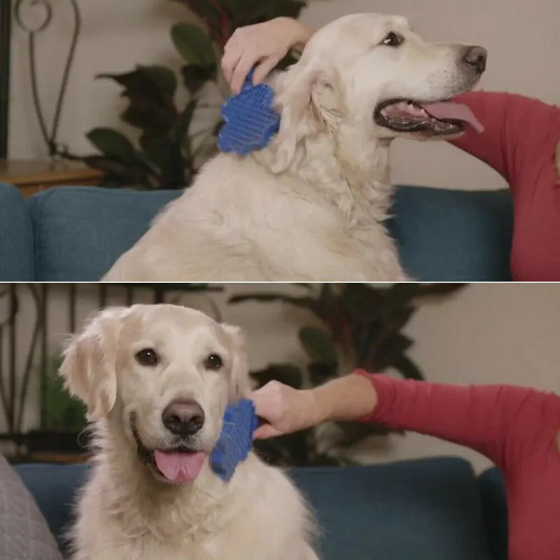 Brosse pour Chien Multifonctionnelle en Silicone avec Fonction de Massage pour un Toilettage en Douceur