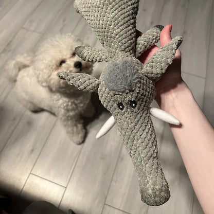 Jouet Pour Chien Robuste Pour Dents Fortes