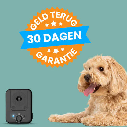 Dispositif Anti-aboiement Automatique Pour Chiens