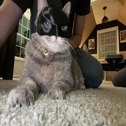 Masque de Chat Héroïque pour des Apparitions Uniques