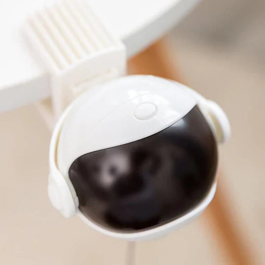 Jouet Automatique pour Chats