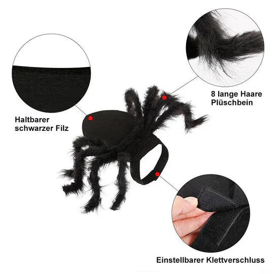 Costume D' Araignée Effrayant pour Animaux Domestiques