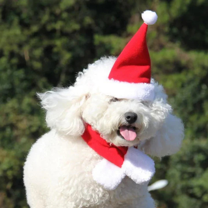Casquette de Noël avec Écharpe pour Animaux Domestiques