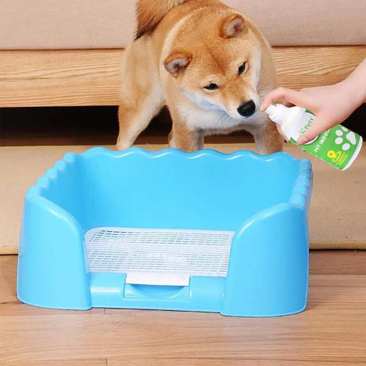 Instructions pour le Placement Ciblé des Toilettes pour Animaux de Compagnie