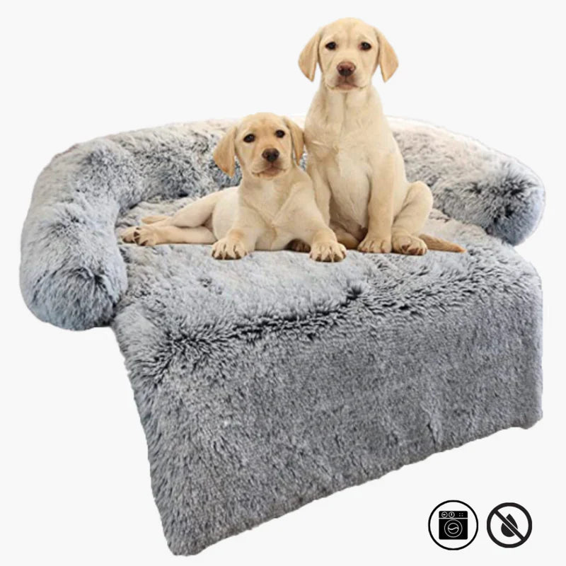 Sofa Luxueux Pour Chien