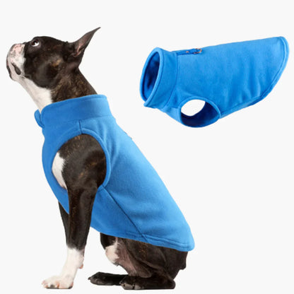Veste Pour Chien Toute L'année