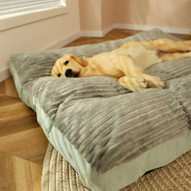 Coussin Ergonomique Pour Chien Avec Housse Amovible