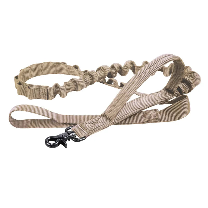 Collier De Chien Réglable En Nylon Avec Fermeture Robuste Par Clic