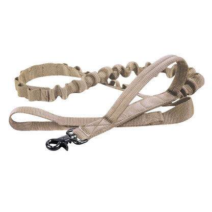 Collier De Chien Réglable En Nylon Avec Fermeture Robuste Par Clic
