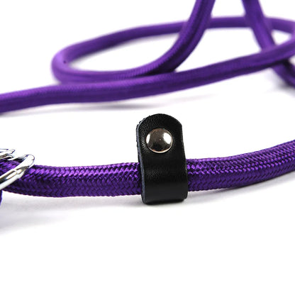 Laisse De Chien En Corde Résistante Avec Mousqueton Pour Une Promenade En Toute Sécurité