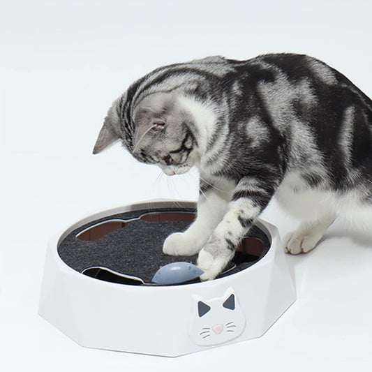 Jeu Interactif De Cache-cache De Souris Pour Chats