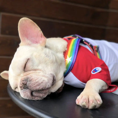 Harnais Pour Chien Arc-en-ciel Avec Étoiles - Souple Et Ajustable Pour Le Confort Et La Sécurité
