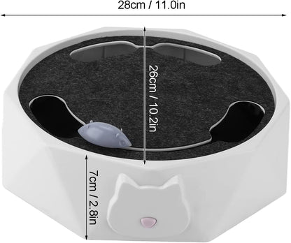 Jeu Interactif De Cache-cache De Souris Pour Chats