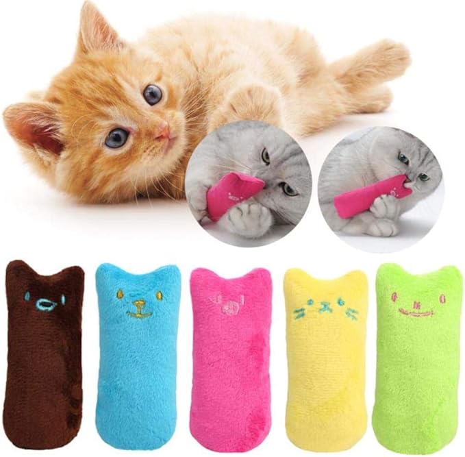 Jouet Grincement de Dents Herbe à Chat Drôle Interactif