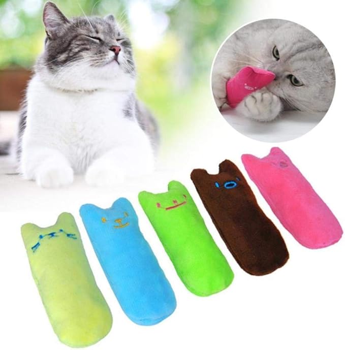 Jouet Grincement de Dents Herbe à Chat Drôle Interactif