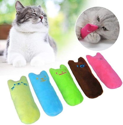 Jouet Grincement de Dents Herbe à Chat Drôle Interactif