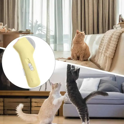 Canon À Friandises Pour Chats