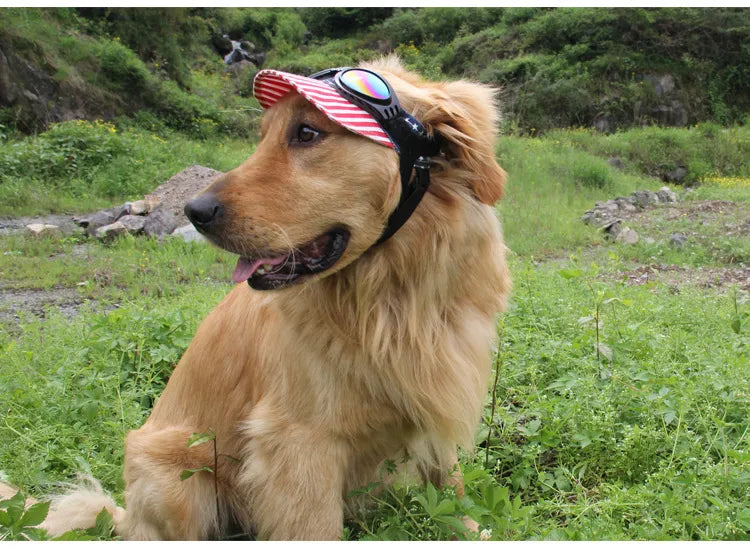 Lunettes De Protection Anti-uv Pour Chiens En 7 Couleurs