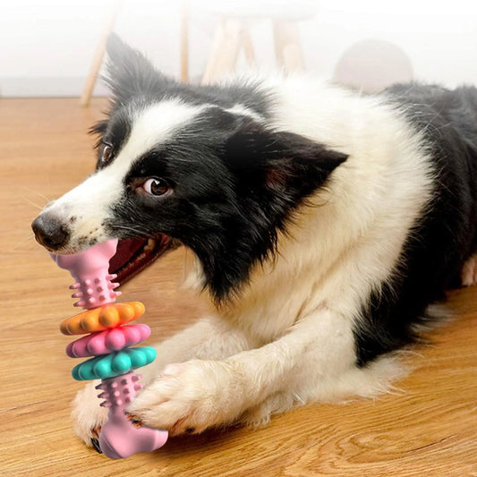 Jouets à Mâcher pour Chiens - Jouets à Mâcher Interactifs pour Chiens