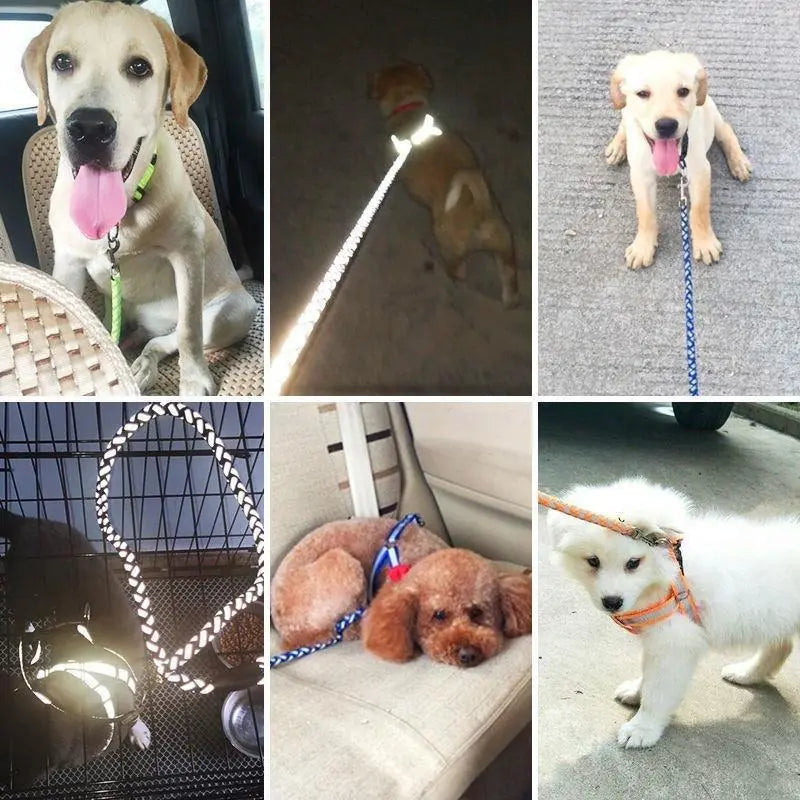 Harnais Réfléchissant Pour Chien Avec Laisse