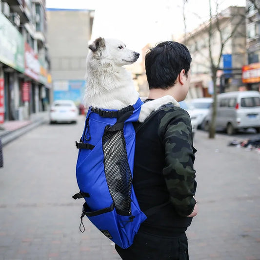 Sac à Dos de Voyage avec Poches en Mesh - Design Robuste Bretelles Réglables
