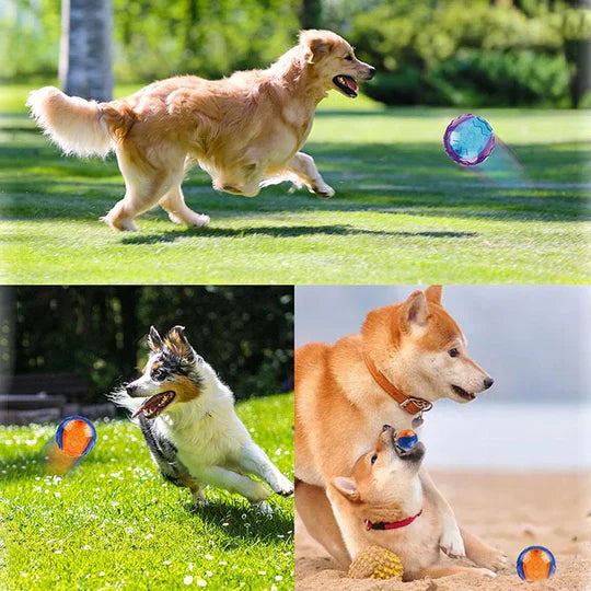 Balle à Mâcher de Longue Durée pour Chiens