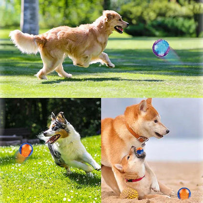 Balle à Mâcher de Longue Durée pour Chiens